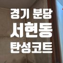 분당중앙동물병원 | 경기 성남시 분당 탄성코트 시공 서현동 베란다 곰팡이 탄성코트 후기