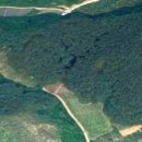 법전면사무소 이미지