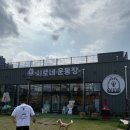 시로네 이미지