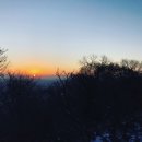 행복나무떡방 이미지