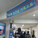 제주 우도잠수함 + 우도도항선 패키지 이용방법 내돈내산 후기