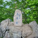 속리산토종닭 이미지