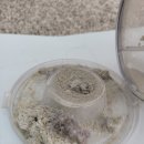 동춘 세탁 이미지