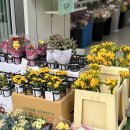 키다리안과의원 이미지