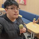 배스킨라빈스 대구동성로점