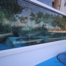 솔비치민박 이미지