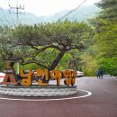 소백산국립공원 남천야영장 이미지