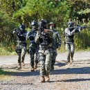 해병대9여단 직할부대 전술훈련 이미지