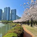 김해 벚꽃 명소 연지공원 데이트 영화헤일메리 후기