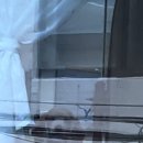 메리몽드 펫살롱 이미지