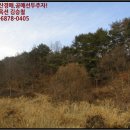 광대정천 이미지