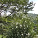 금오산 야영장 이미지