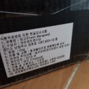 와이앤트레이딩 이미지