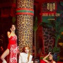 펑키트래블 이미지