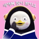 달맞이언니 이미지