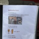 센트럴파크 11 | 동탄양식맛집 "웬즈데이" 동탄센트럴파크점 방문 후기_ 재방문각 맛집