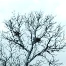 함평자연생태공원 이미지