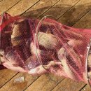 힐링낚시터 이미지