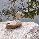 초록농원 이미지
