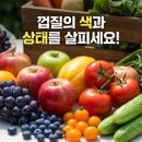 실패없는농산물