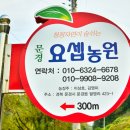 요셉사과농원