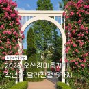 5 | 오산장미축제 고인돌공원 개막식후기 작년과 달라진점 5