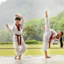 평내한국태권도장 이미지