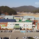 고성동물병원 이미지