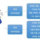 맑은수면이비인후과의원 네이버블로그