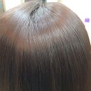 빈헤어스토리