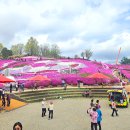 강변. 조각공원길 이미지