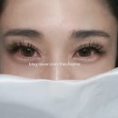 더시크라인 이미지