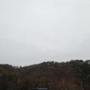 우리통닭 - 포천시 송우로 45 | 우리통닭