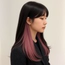 친절한애견미용실 이미지