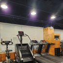 고 베어 짐 이미지