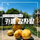 신샘밭로 L 이미지