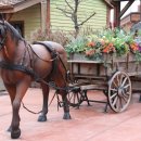 포니랜드 이미지