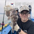 새벽바다 - 북구 호계매곡4로 7 | 인천배낚시 체험 인천바다낚시 초보도 우럭 성공 새벽출조 후기