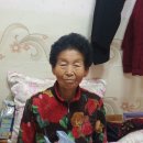 유한정 이미지