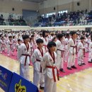 전진 효 태권도 이미지