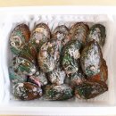 완도참전복 이미지