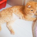 제주대학교 수의과대학 부설동물병원 이미지