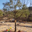 수려한환경
