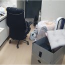 신세대지큐빌 | 부산 원룸 및 소형 화물 운송 선택 시 고려해야 할 다양한 이사 옵션들