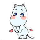 에스제이(SJ) 이미지