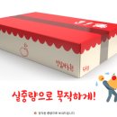 청송문경 꿀사과 5kg 정담아농원 후기🍎 부사·시나노골드 못난이 흠과까지 진짜 맛있는 곳 찾았어요