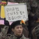 파시비니 이미지