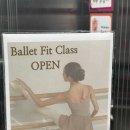 발레핏 | 성신여대필라테스 <필라테스구름 성신여대점> 발레핏 수업 후기