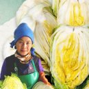 박혜정농장 이미지