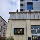 어라연 | 영월여행 조식이 만족스러웠던 어라연 호텔 솔직후기